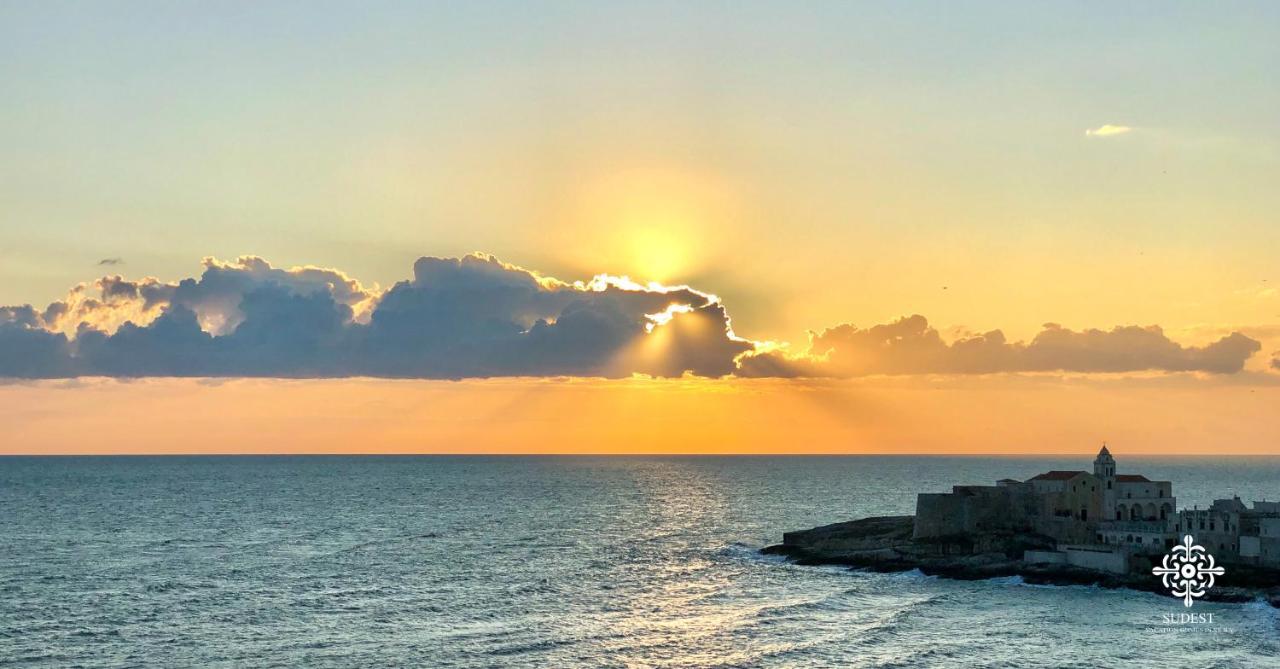 Infinito - Attico Sul Mare Apartment Vieste Ngoại thất bức ảnh